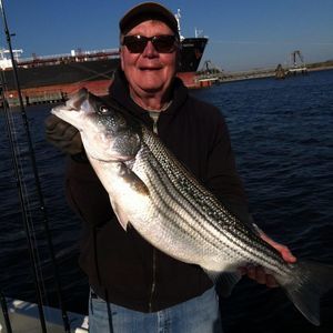 Meet your Posher, Larry